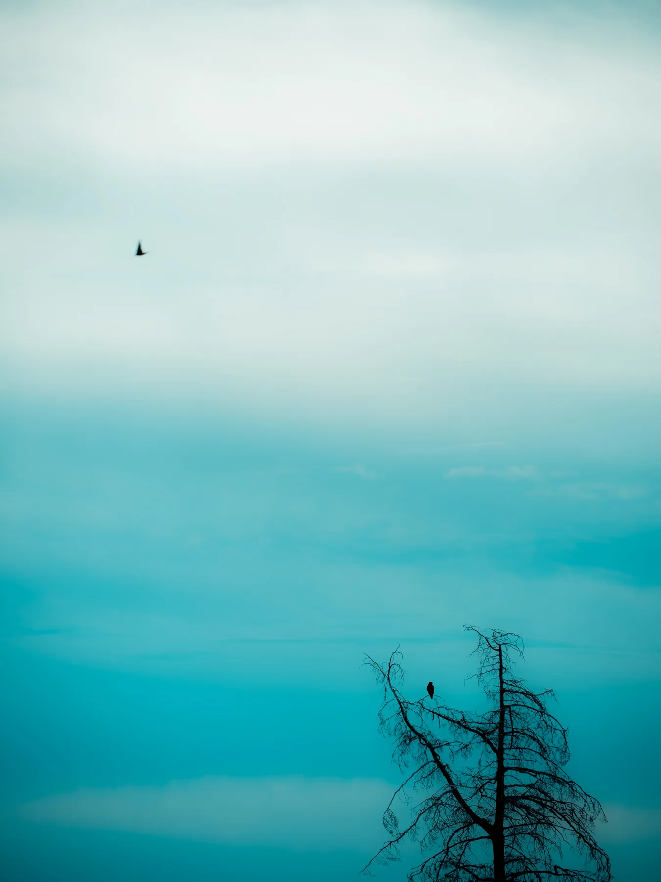 Fine-art photograph