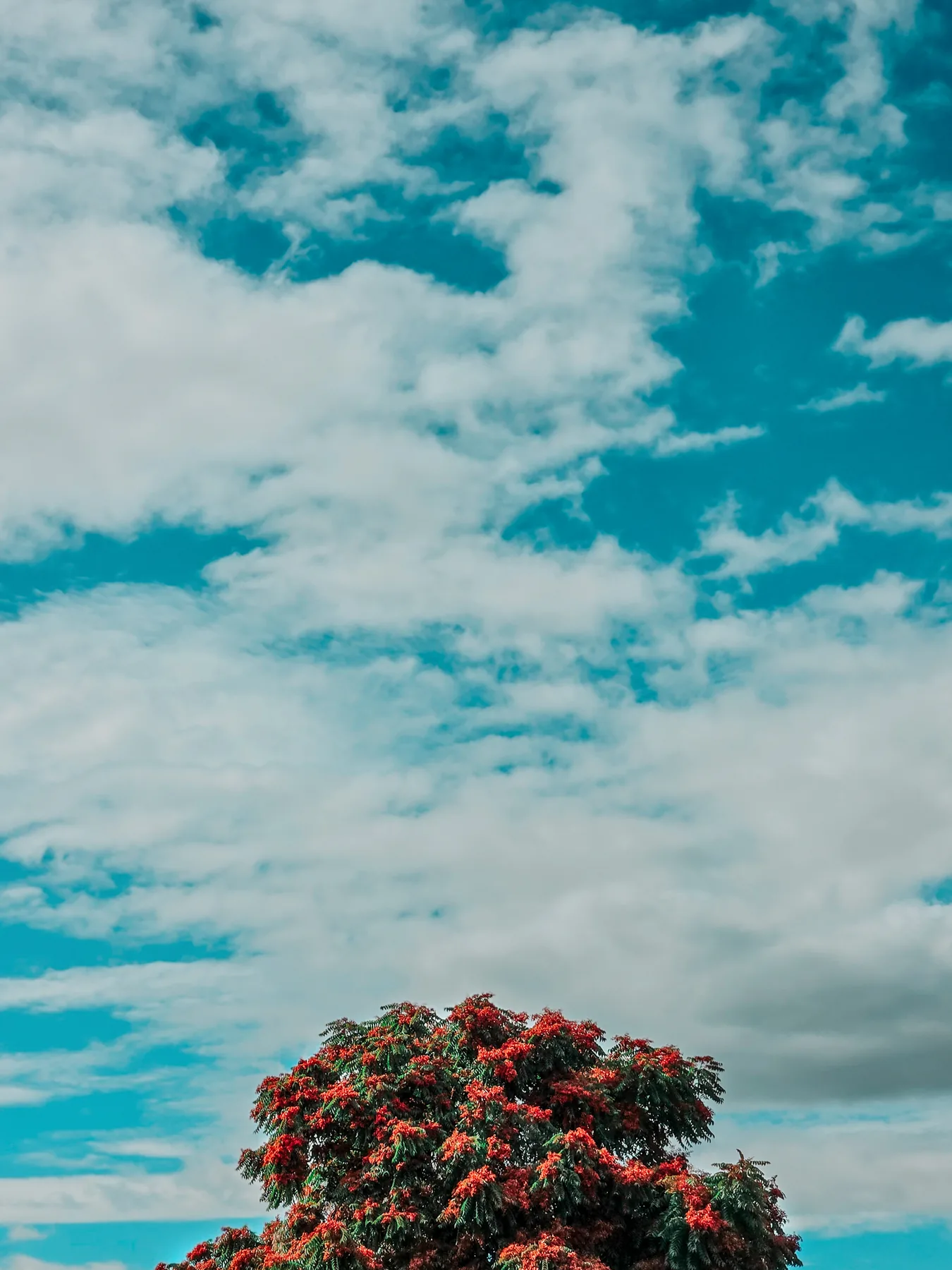 Fine-art photograph
