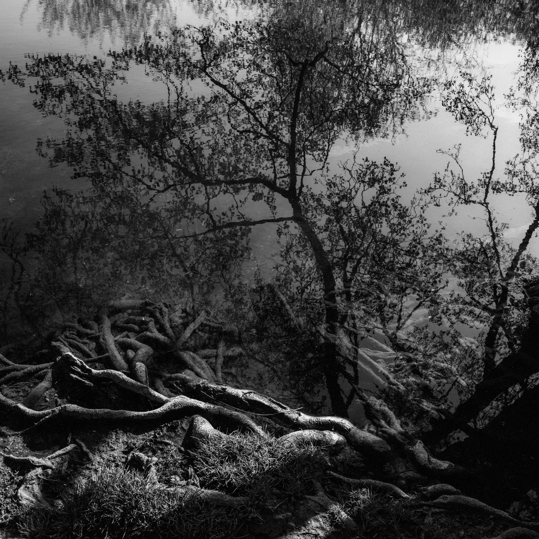 Fine-art photograph