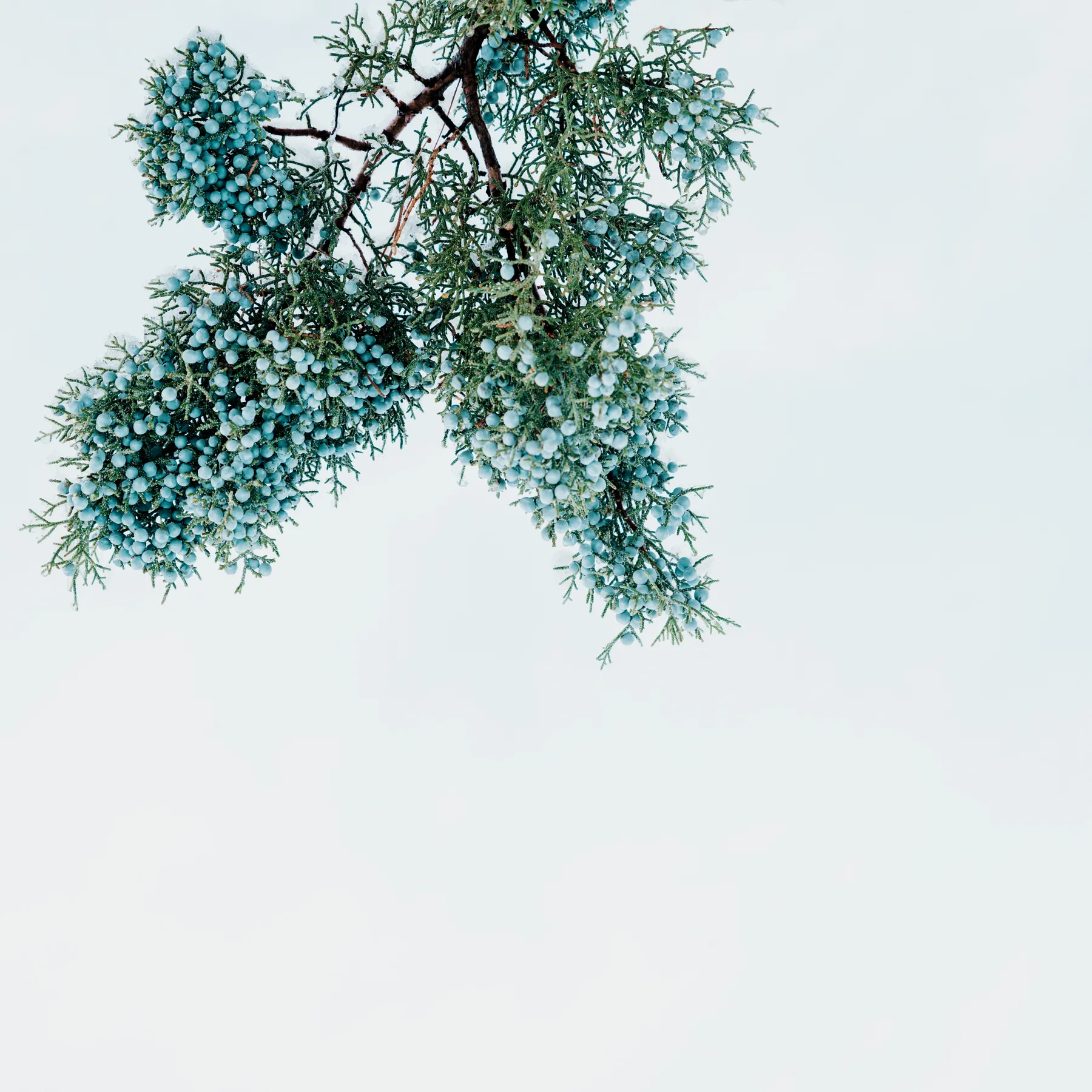 Fine-art photograph