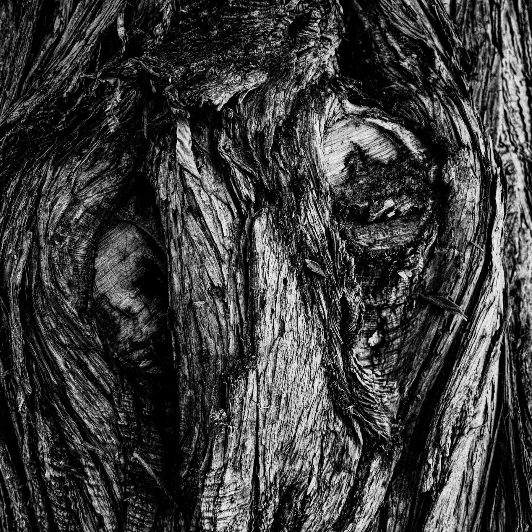 Fine-art photograph