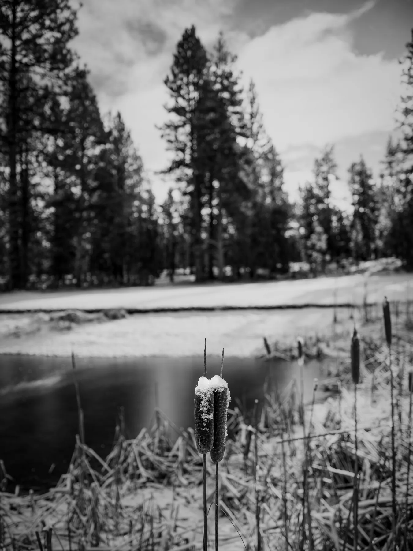 Fine-art photograph
