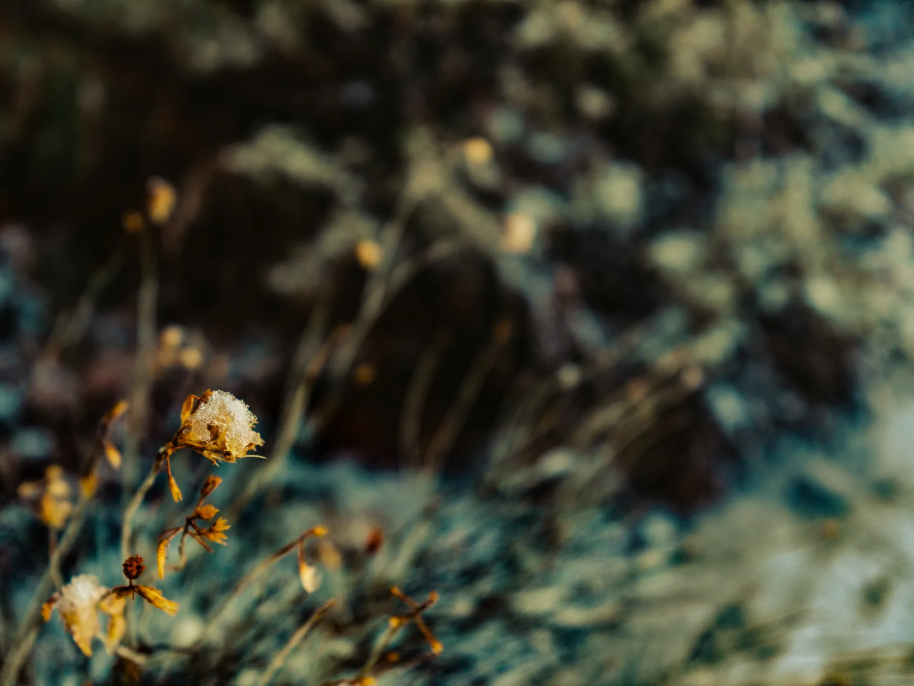 Fine-art photograph