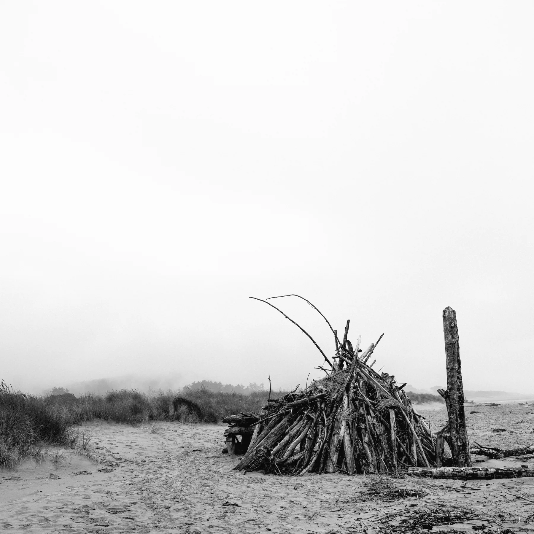 Fine-art photograph