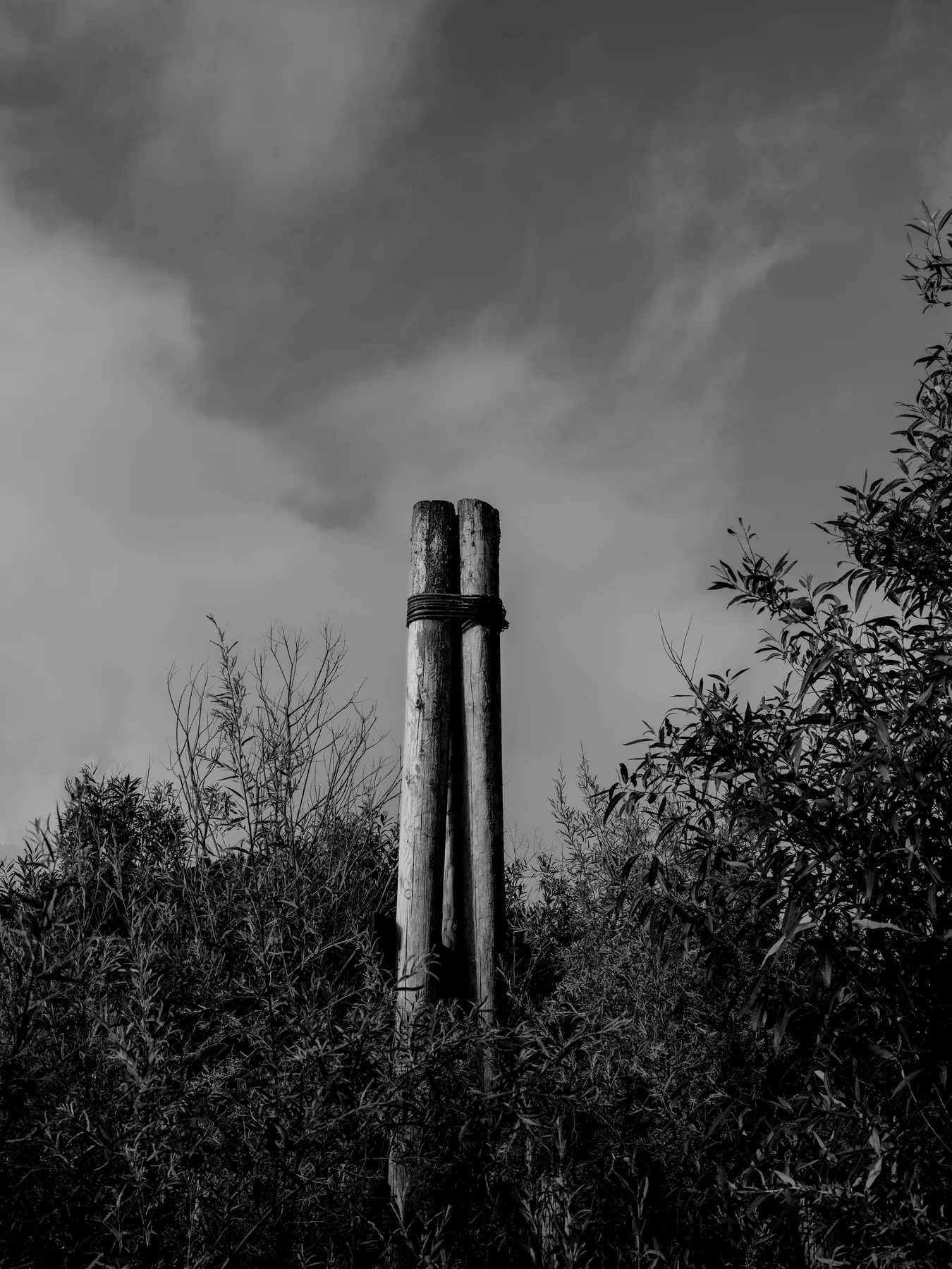 Fine-art photograph