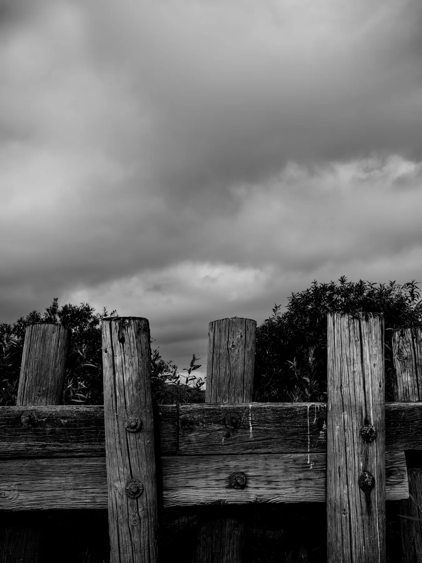 Fine-art photograph